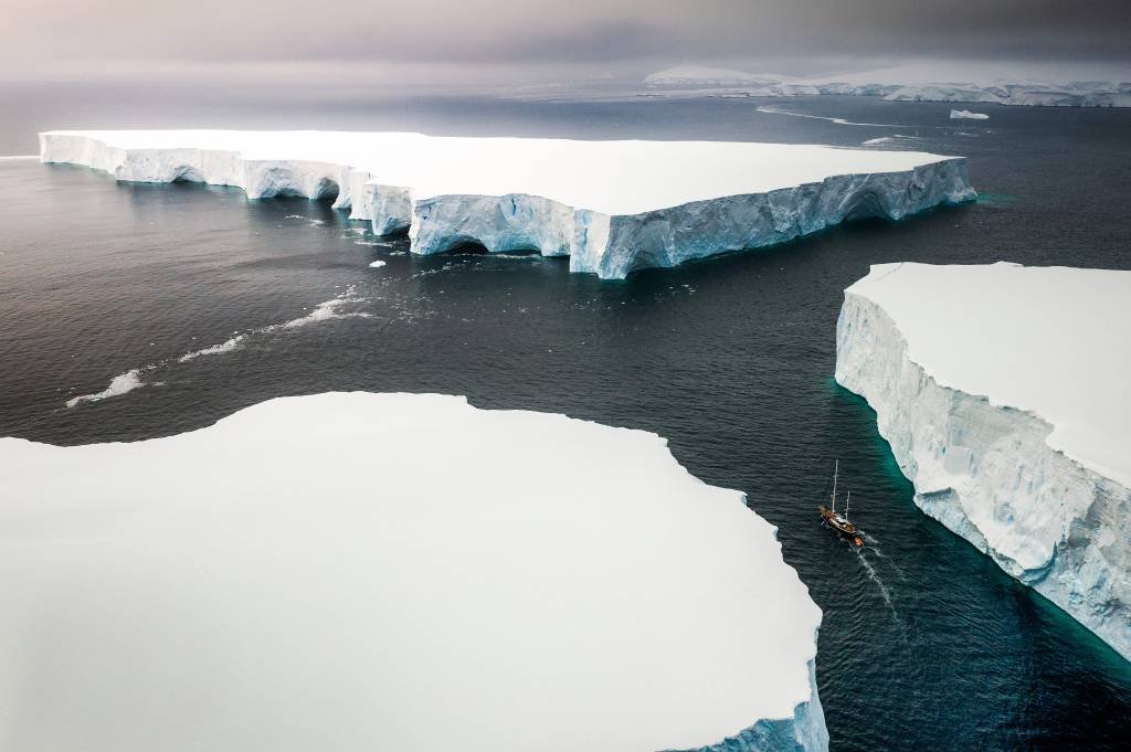 França reúne membros do Tratado da Antártica para discutir biodiversidade