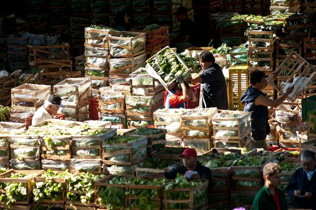 Ceagesp tem prejuízo de R$ 24 milhões com enchentes do dia 10 de fevereiro