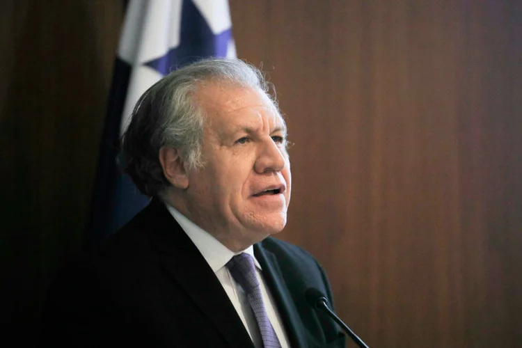 Luis Almagro: o secretário da OEA não deu nomes concretos de governantes nem empresários (Foto/AFP)