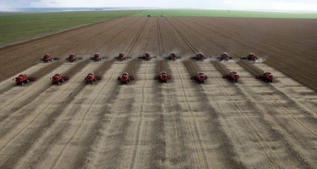 Dois sucessos do Brasil: finanças e agricultura