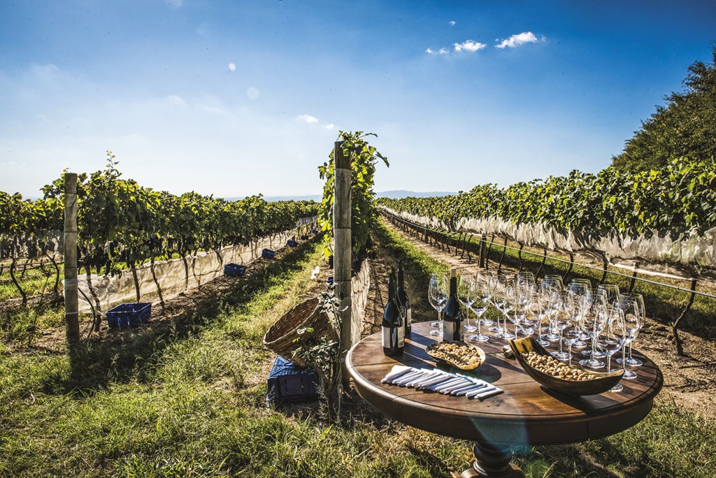 Serra da Mantiqueira: o Napa Valley brasileiro