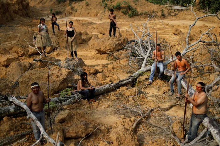Desmatamento: Brasil tem hoje 28 povos isolados comprovados (Ueslei Marcelino/Reuters)