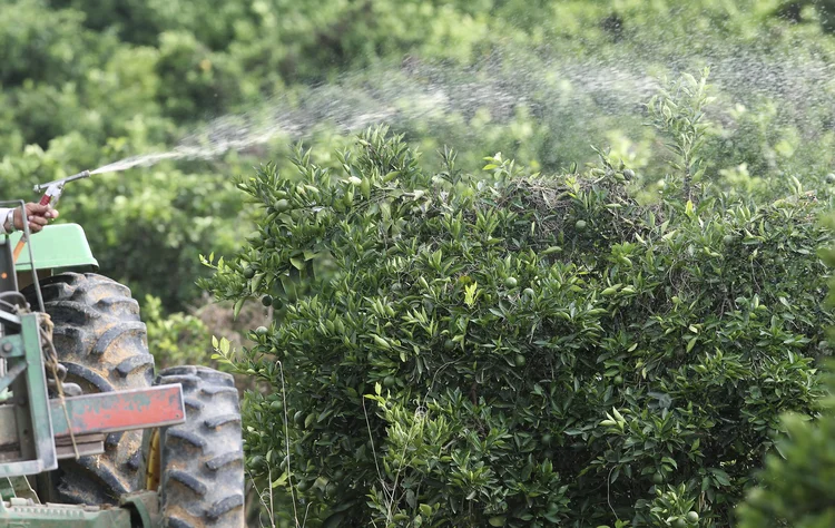 Agrotóxicos: além do PSOL, a Rede também entrou com um pedido no STF (Paulo Whitaker/Reuters)