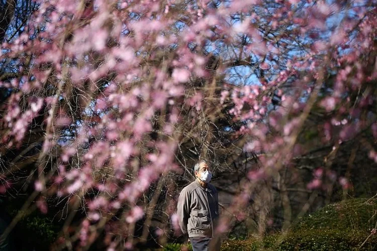 Visitante com máscara de proteção observa flor de cerejeira em jardim de Tóquio (Edgard Garrido/Reuters)