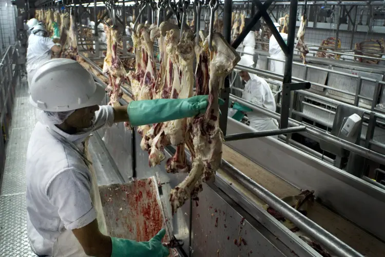 Carne brasileira: 8 dos 28 frigoríficos brasileiros habilitados a exportar aos EUA foram inspecionados recentemente, disseram os senadores, que questionaram quando os outros 20 seriam inspecionados (Diego Giudice/Bloomberg)