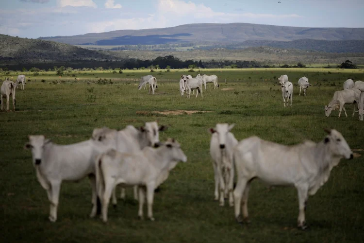 Economia: indicadores devem mostrar impacto do coronavírus no Brasil