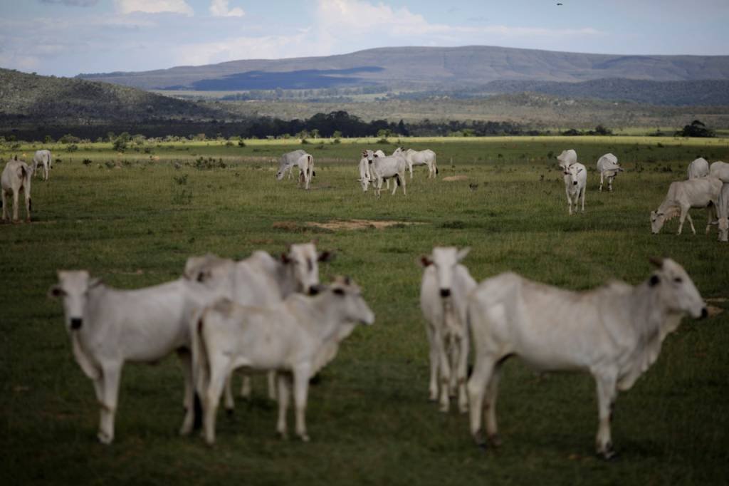 Indicadores devem mostrar incerteza na indústria e queda de preços no agro