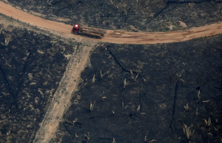 Desmatamento: a destruição da Amazônia aumentou no governo Bolsonaro, com o desmatamento atingindo o maior nível em 11 anos (Bruno Kelly/Reuters)