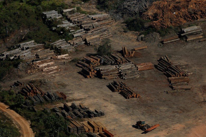 AGU cobra R$ 1,3 bilhão de grandes desmatadores da Amazônia