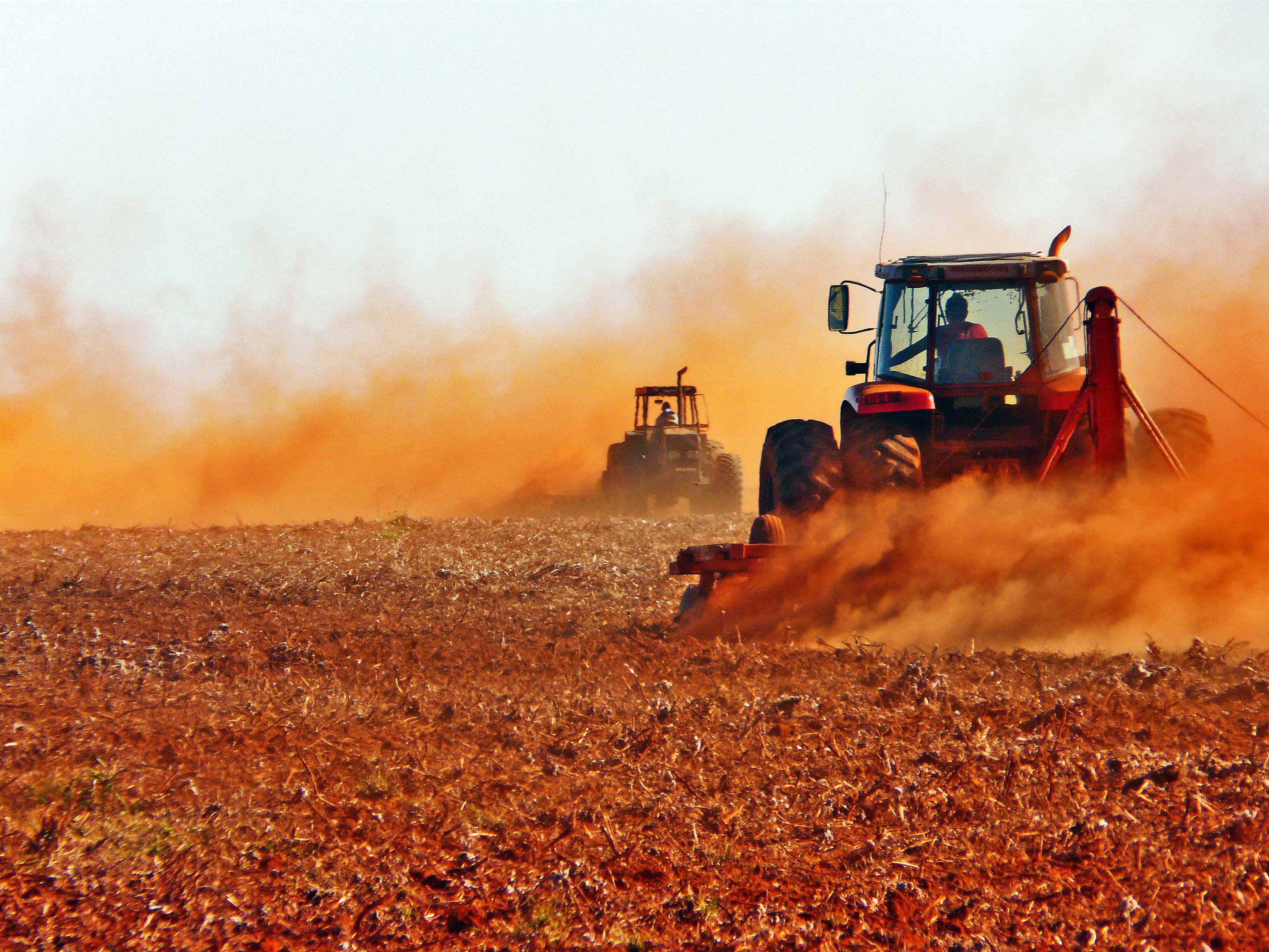 Safra 2020 será de 249 mi de toneladas, 3% maior que 2019