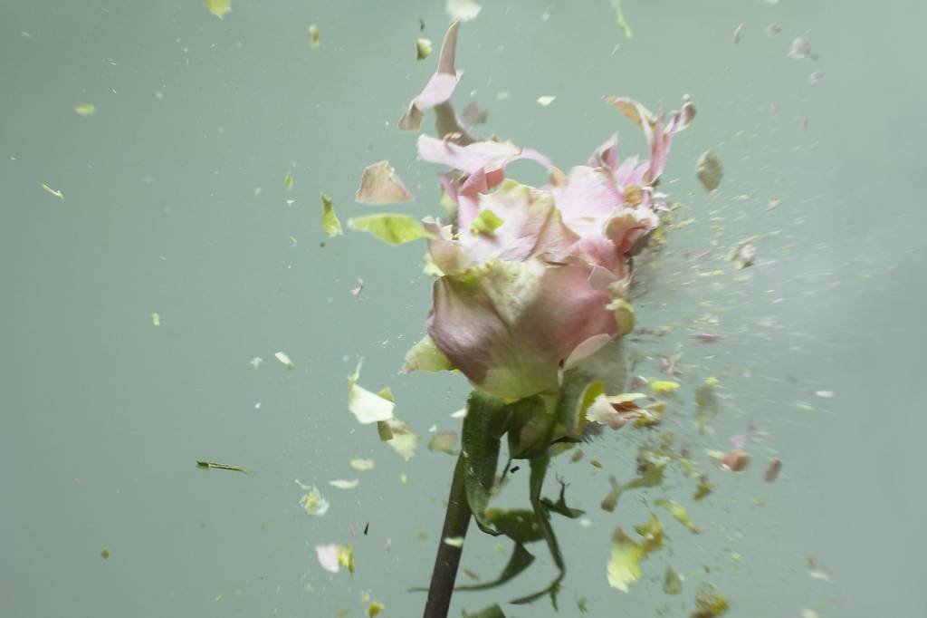 Nada de rosas: o dia da mulher na Vivo terá debate sobre violência
