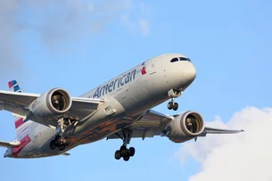 O poder das pequenas decisões: como a American Airlines economizou milhares com apenas uma azeitona?