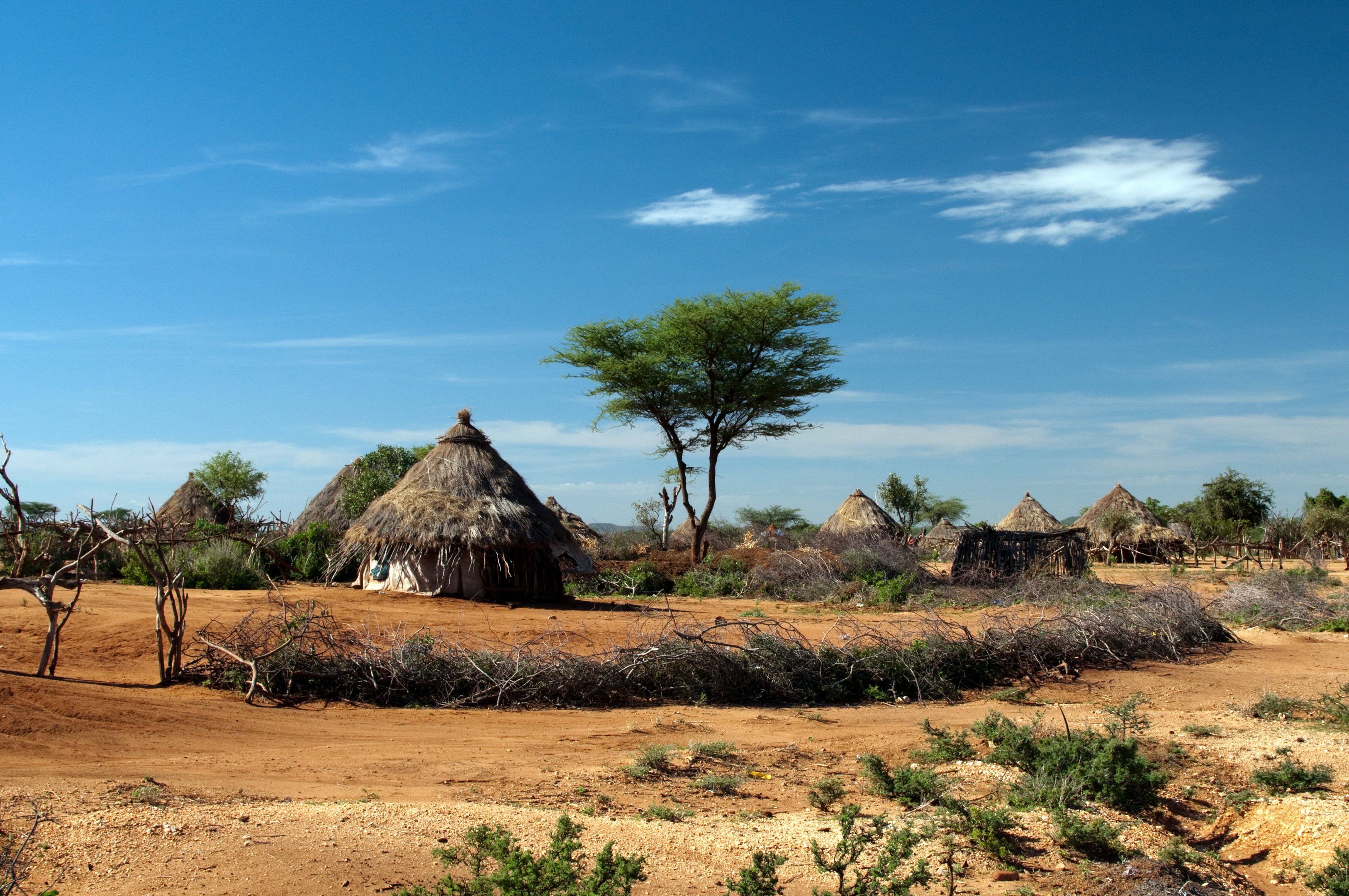 Por que tão poucos casos de coronavírus foram relatados na África?