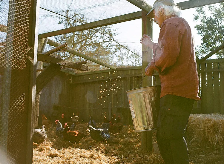 Lloyd Kahn, em Bolinas, Califórnia (Aubrey Trinnaman/The New York Times)