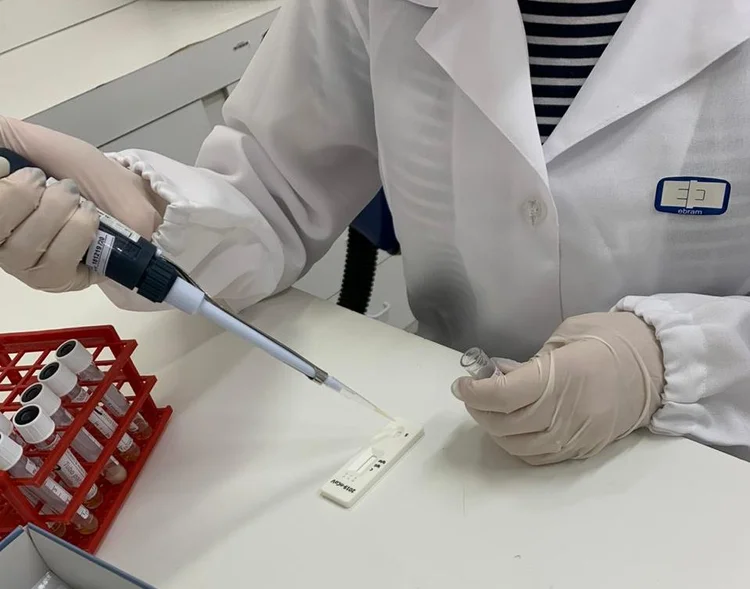 Coronavírus: especialistas de diversos países buscam um tratamento para a covid-19 (Ebram/Divulgação)