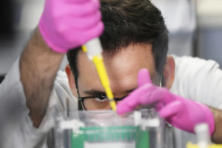 A biologia abre portas para diversas profissões, permitindo que os formados atuem em setores essenciais como pesquisa, educação, saúde e meio ambiente (Lucas Landau/Reuters)