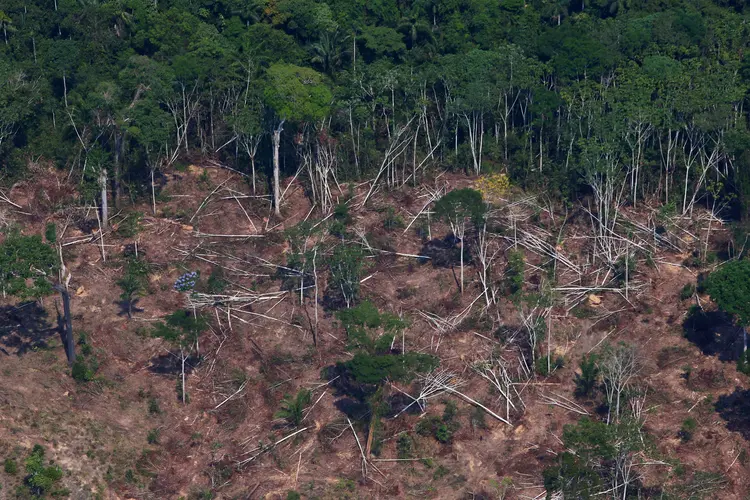 Área desmatada da floresta amazônica em Novo Progresso, no Pará: quarentena, mas não para os madeireiros (Amanda Perobelli/Reuters)