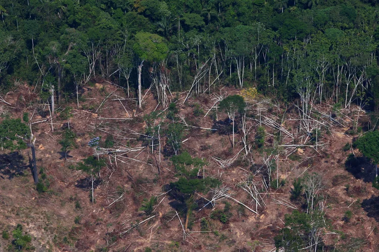 Área desmatada da floresta amazônica em Novo Progresso, no Pará: quarentena, mas não para os madeireiros (Amanda Perobelli/Reuters)