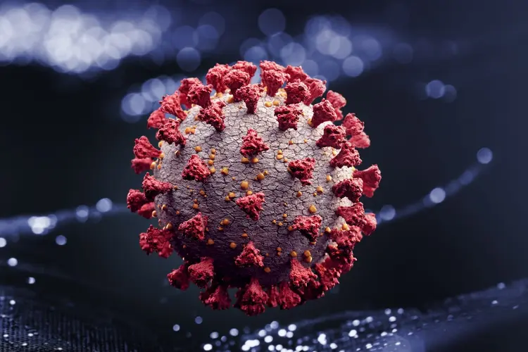 Coronavírus: vírus se liga a células ACE-2 do corpo humano, segundo cientistas (Radoslav Zilinsky/Getty Images)