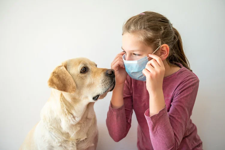 Doações são destinadas aos hospitais e aos animais abandonados (Stefan Cristian Cioata/Getty Images)