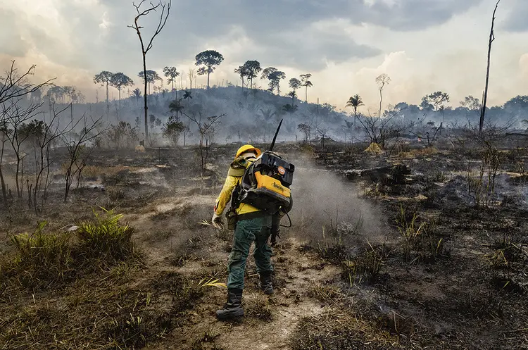 Brigadista de incêndio do Ibama, no Pará: a área desmatada neste ano no estado equivale a quase 100 parques do Ibirapuera  (Gustavo Basso/NurPhoto/Getty Images)