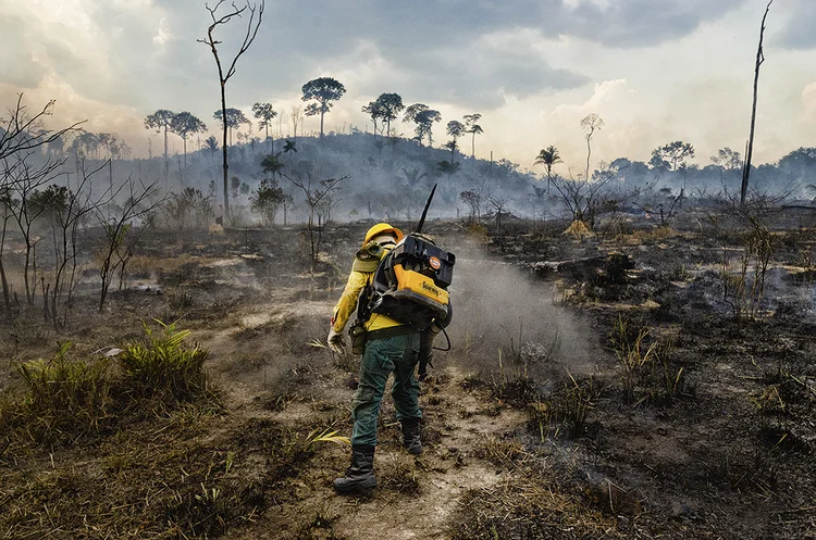 Entre as áreas de foco, estão aquelas que sofrem com incêndios florestais, desmatamento ou ocupação de sem licença ou autorização. (Gustavo Basso/NurPhoto/Getty Images)