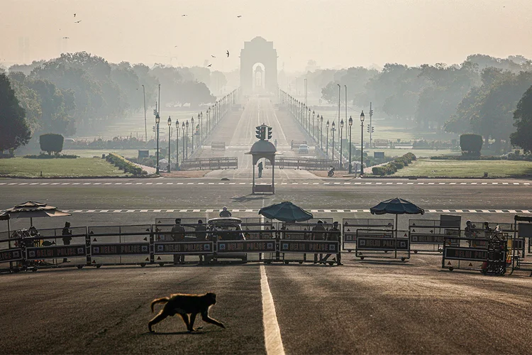 Macaco atravessa rua próxima ao palácio presidencial da Índia, em Nova Délhi, durante período de "lockdown" (Anushree Fadnavis/Reuters)