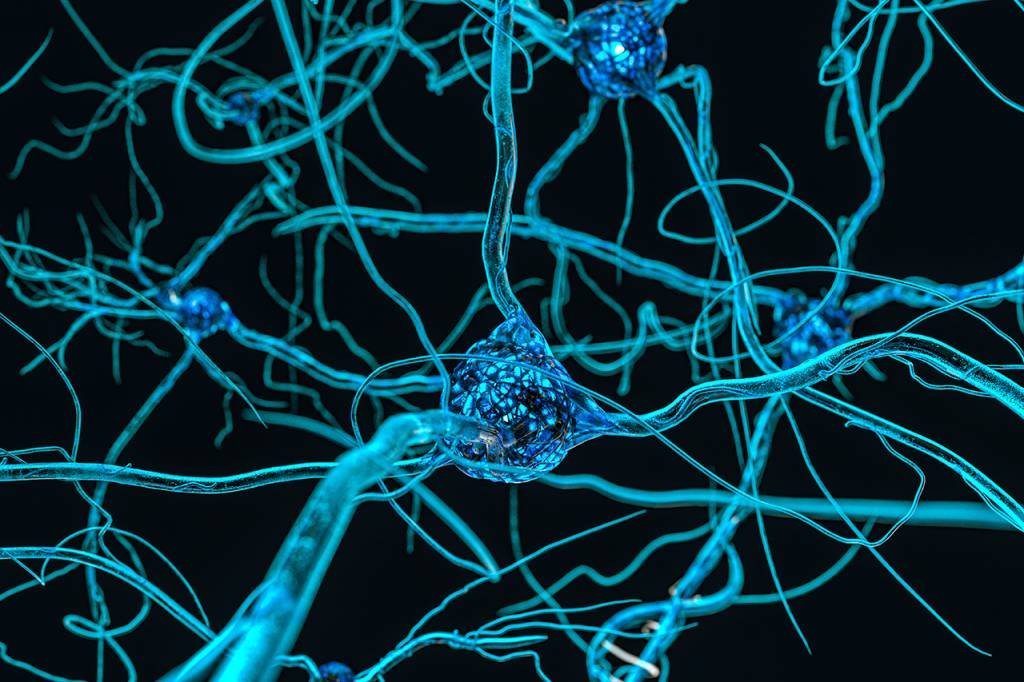 Cérebro: nova doença detectada no Canadá é neurológica (Getty Images/Getty Images)