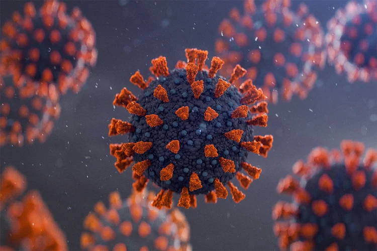 Coronavírus: anticorpo age na espícula de proteína do vírus (Yuichiro Chino/Getty Images)