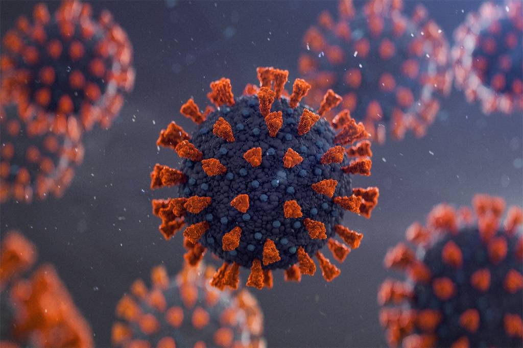 Coronavírus: empresa americana diz ter descoberto anticorpo que pode curar a doença (Yuichiro Chino/Getty Images)
