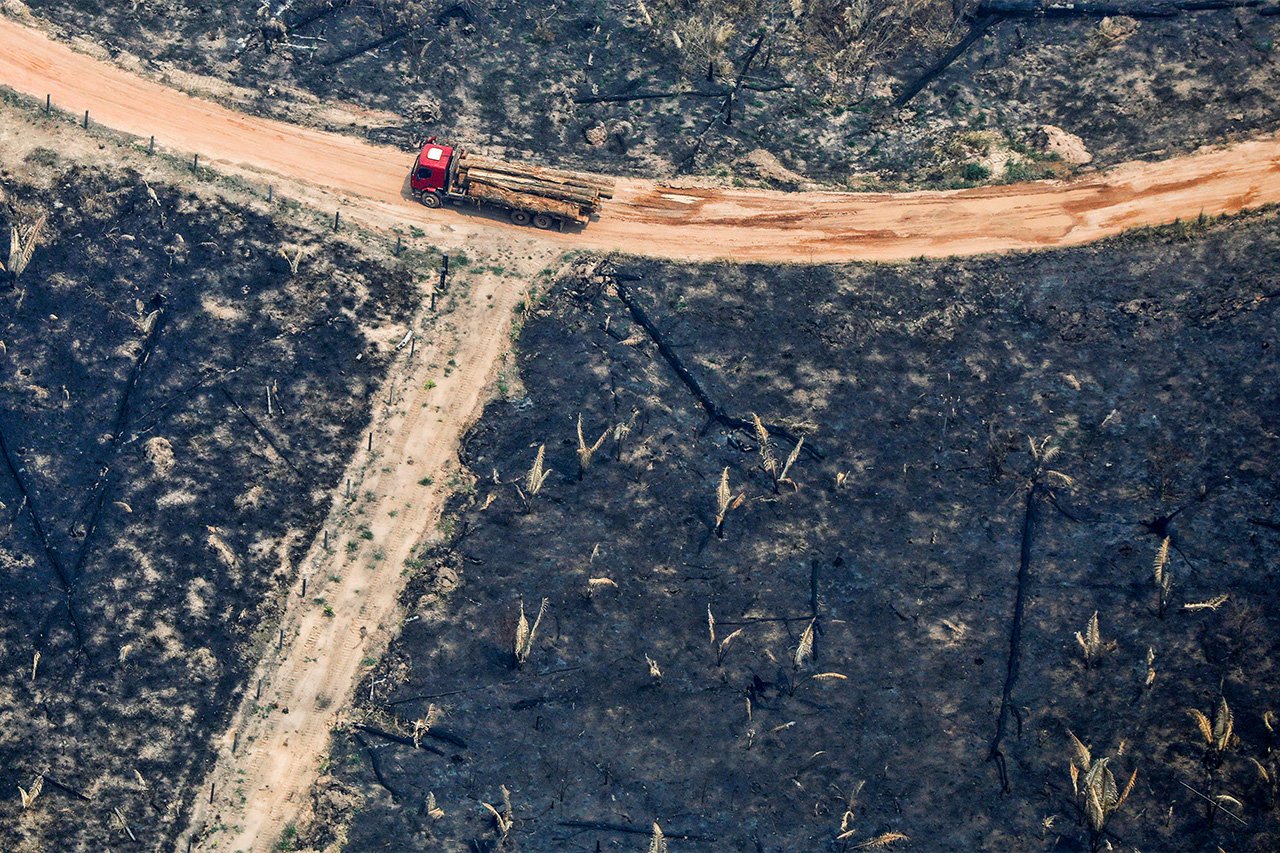 Desmatamento da Amazônia aumenta 64% em abril, aponta Inpe