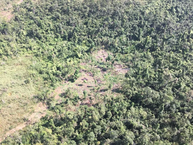 Governo de SP: O programa Guardiões da Floresta vai pagar uma contraprestação pelos serviços ambientais realizados por comunidades indígenas (Fundação SOS Mata Atlântica/Divulgação)