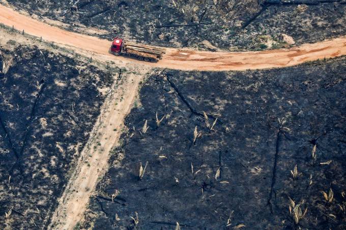 As emissões decorrentes do desmatamento, especialmente na Amazônia, devem aumentar 29% neste ano, em comparação a 2018 (Bruno Kelly/Reuters)