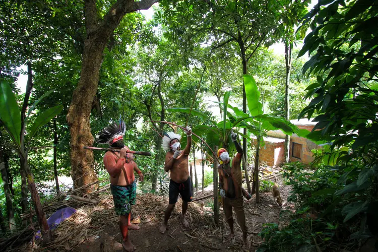 Indígenas: Responsáveis pela domesticação do guaraná, os sateré mawé são mais de 13.000 e vivem principalmente na terra indígena Andirá-Marau, na fronteira entre os estados do Amazonas e do Pará. (Lucas Silva/picture alliance/Getty Images)