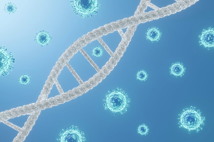 Coronavírus não se torna mais infeccioso com mutações, mostra pesquisa