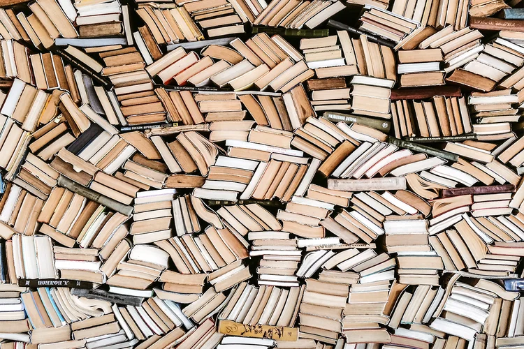 A plataforma conta com milhares de livros, de diversos autores (Alexander Spatari/Getty Images)