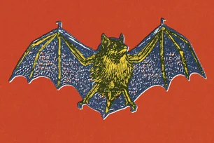 Imagem referente à matéria: Robôs inspirados em morcegos: por que essa tecnologia está ganhando força?