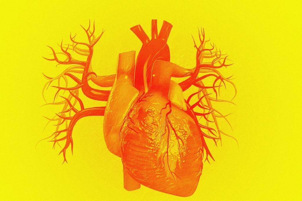 Coração: pesquisa pode guiar o desenvolvimento de novas drogas para doenças cardiovasculares (MEHAU KULYK/SCIENCE PHOTO LIBRARY/Getty Images)
