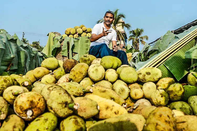 Jaca: a Índia está capitalizando com a crescente popularização da fruta como alternativa à carne (AFP/AFP)