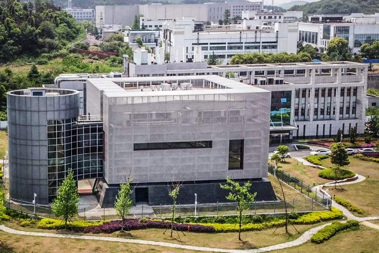 Coronavírus: Instituto de Virologia de Wuhan estuda alguns dos patógenos mais perigosos do mundo (AFP/AFP)