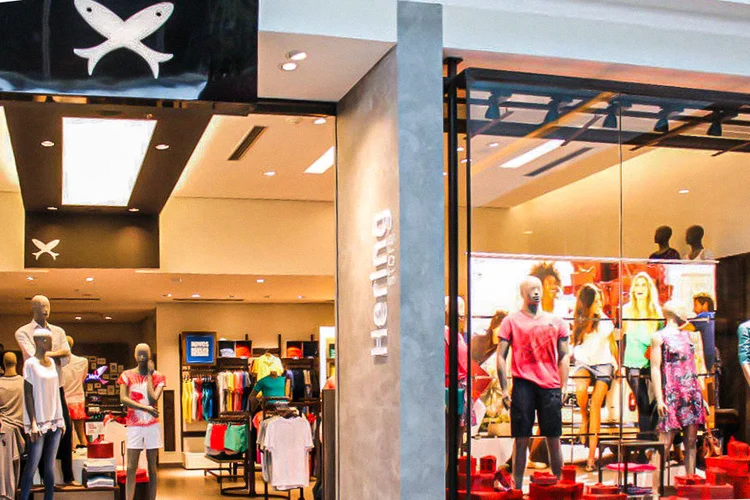 Parceira: a coleção trará os famosos moletons da Hering e as sandálias TOP e Tradi da Havaianas.  (Hering/Divulgação)