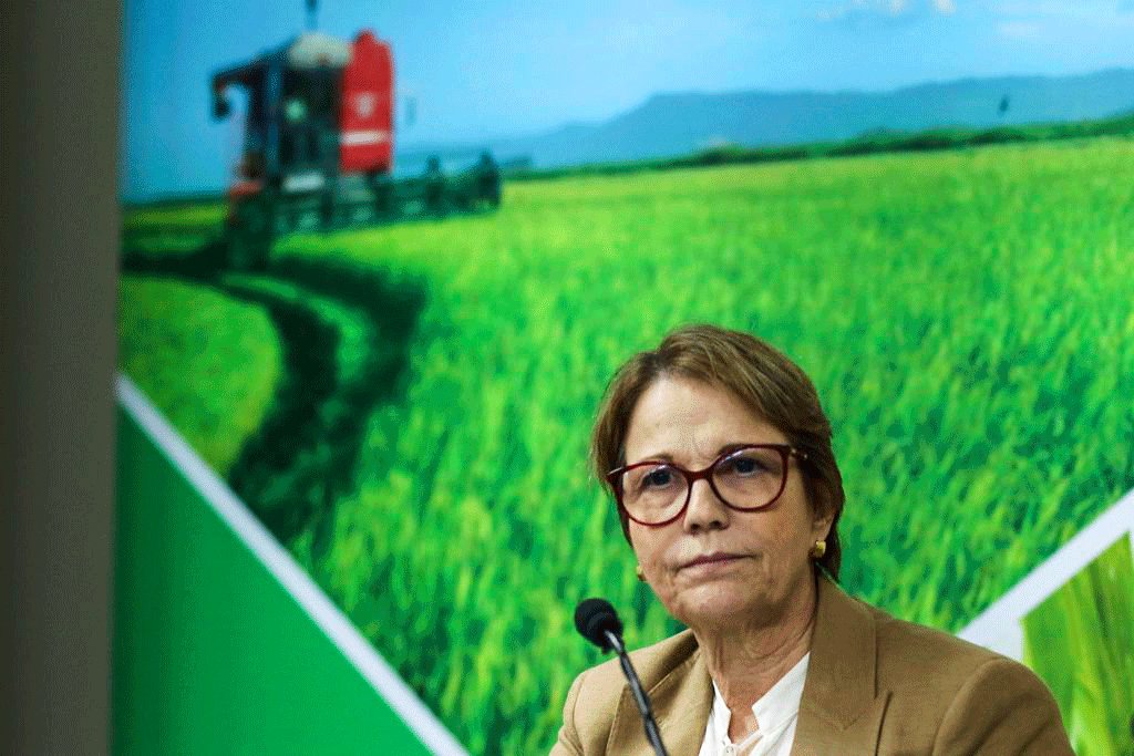 Ministra da Agricultura reforçou que o governo federal não fará intervenção (Agência Brasil/Marcello Casal Jr)