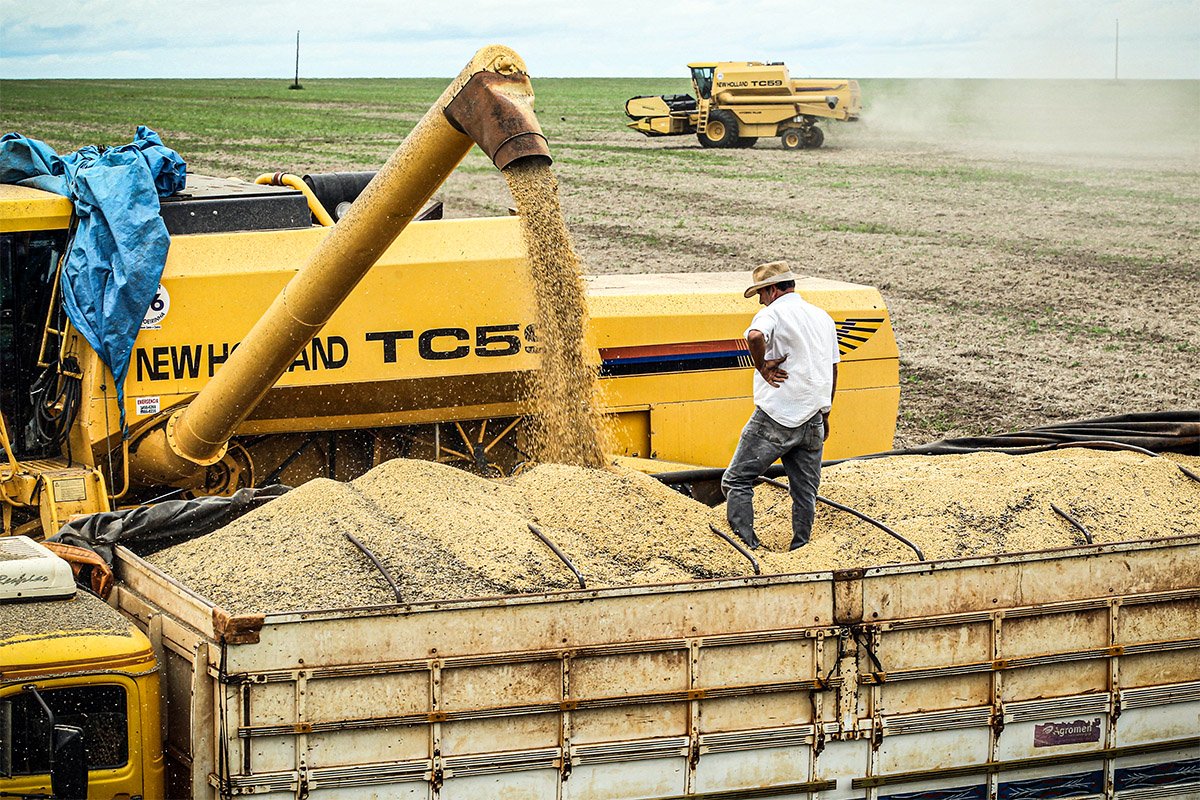 Clima e biodiesel nos EUA elevam contratos futuros de soja em Chicago