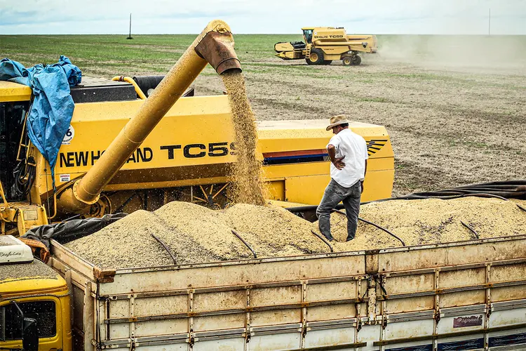 Caminhão é carregado com grãos de soja em Primavera do Leste (MT) (Arquivo) (Paulo Whitaker/Reuters)