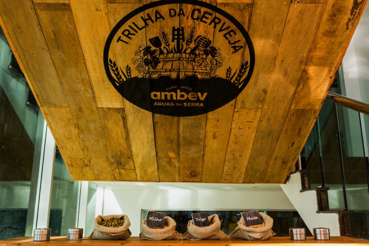Sonha em trabalhar com cerveja? Veja a tour da Ambev para os estagiários