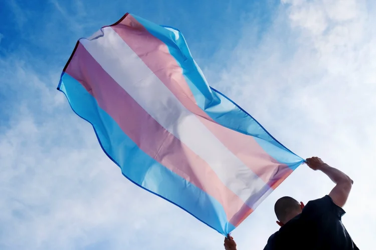 Bandeira do orgulho trans: havia um processo da DPU contra a União, na Justiça Federal de Roraima, para obrigar a inclusão do nome social sempre que solicitado (nito100/Getty Images)