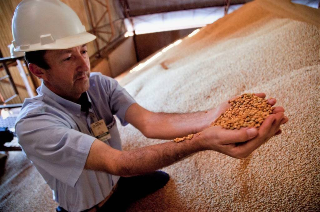  Até abril deste ano, 30% do volume de grãos foram negociados (Pictures Ltd./Corbis/Getty Images)