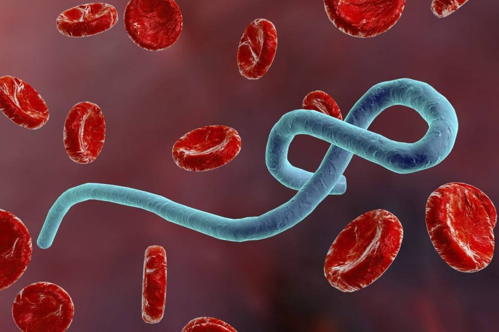 O surto do ebola está de volta — mas não deve ganhar o mundo
