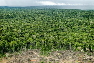 Brasil anunciará nova meta climática na COP29