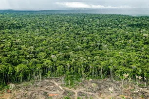 Imagem referente à matéria: Brasil anunciará nova meta climática na COP29